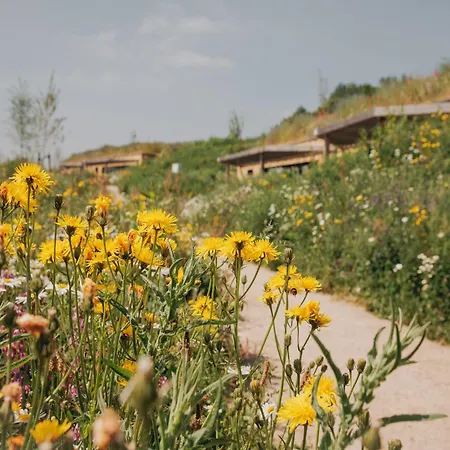 Holiday home Luxury Hill In Gulpen